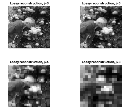 Lossy reconstruction