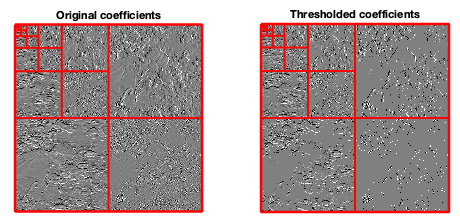 Thresholded coefficients